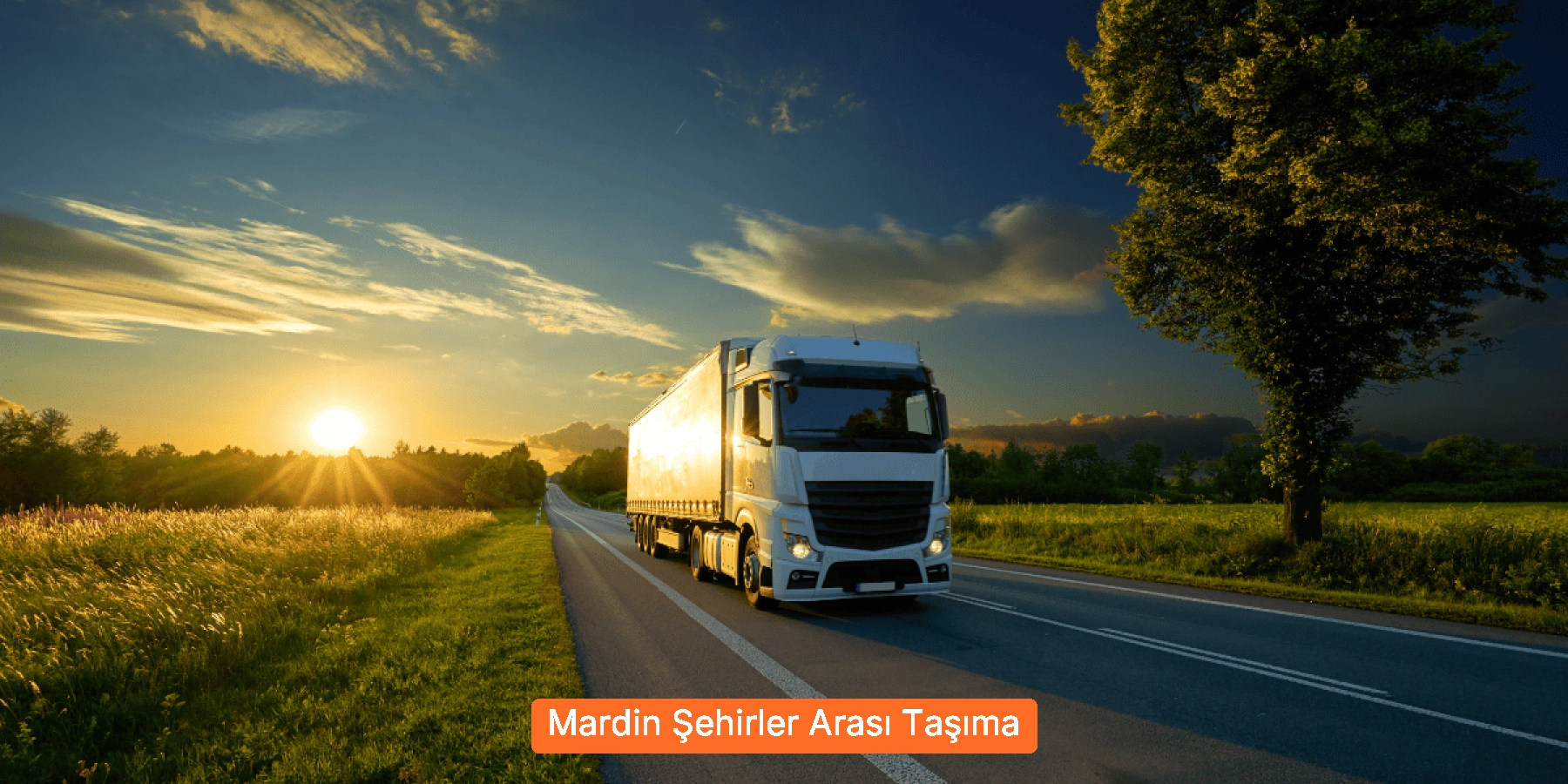 Şehirler Arası Taşıma