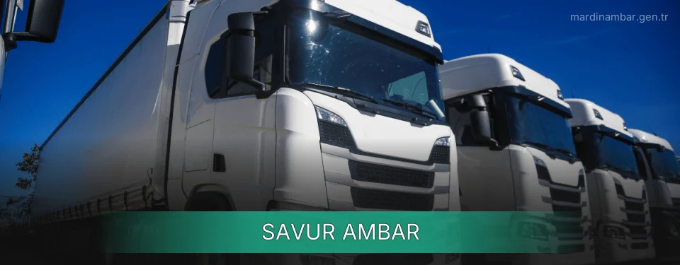Savur Ambar